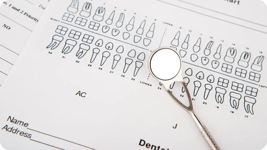 歯科診療で使用する歯のチャートとデンタルミラー